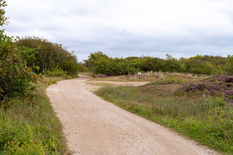 JOMO an der Küste - LekkerNaarZee Callantsoog